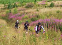 Easy mountain biking trail Scotland